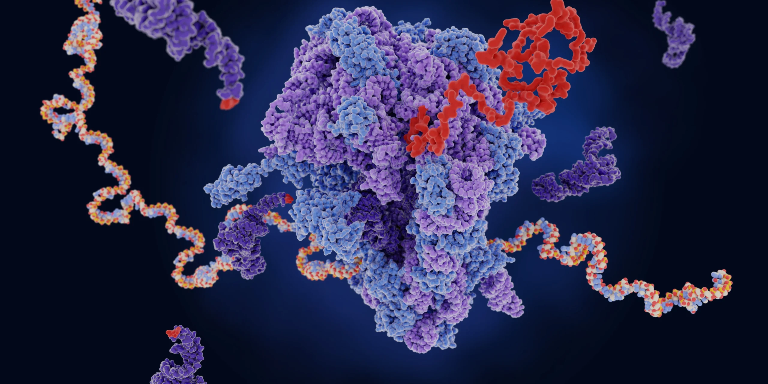 Transcriptome Analysis