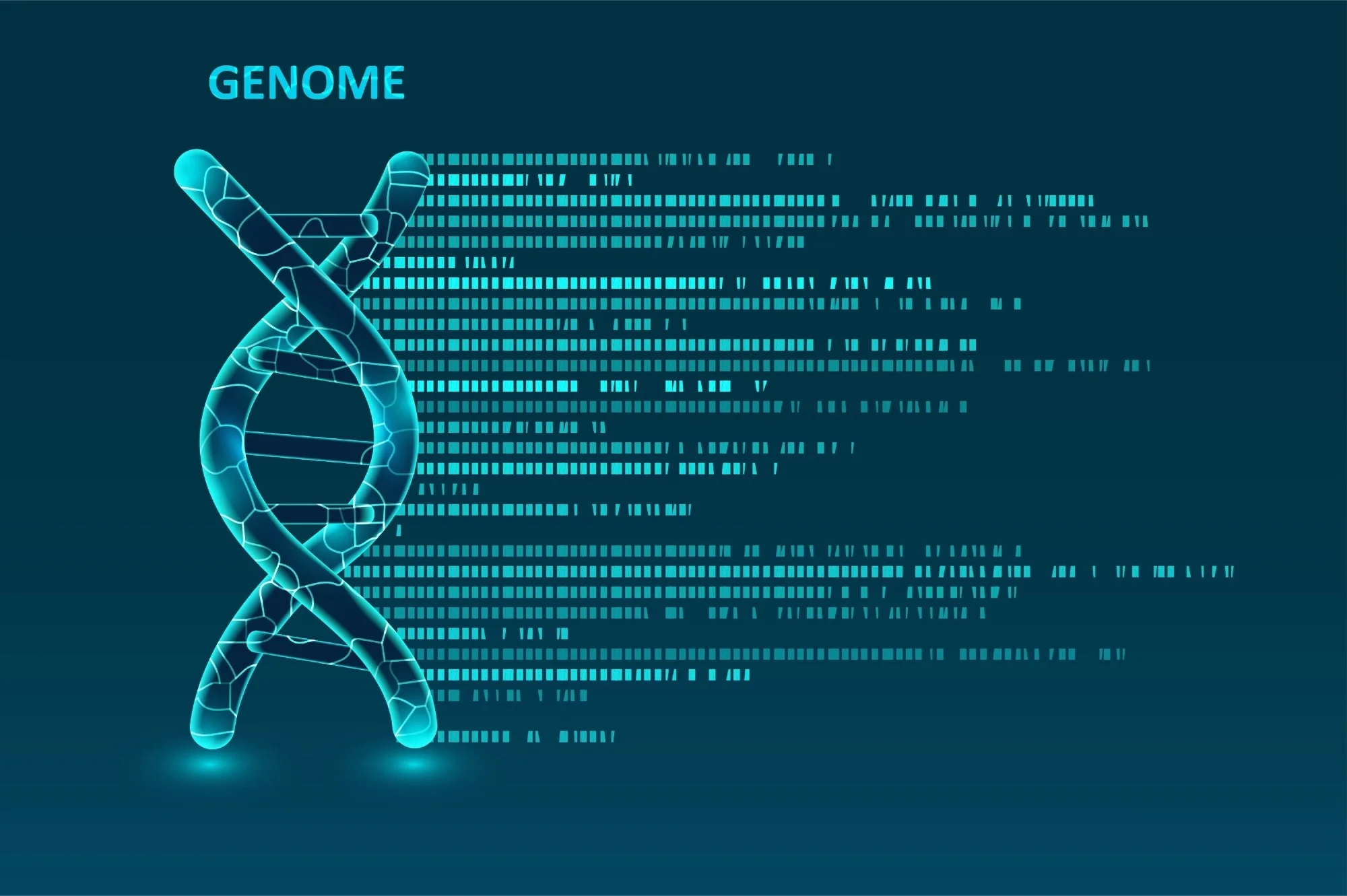 Whole Genome Analysis